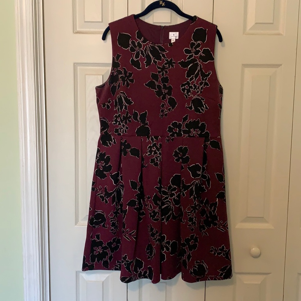 Fit and flare sleeveless dress with zippered back.